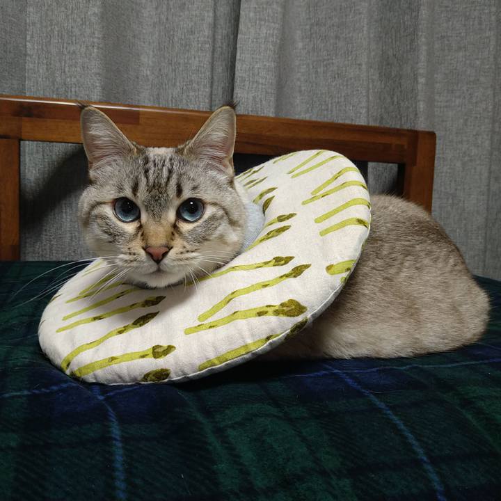 1f11ca41 44de 4827 8f81 18669f7bcaea 1712674902012