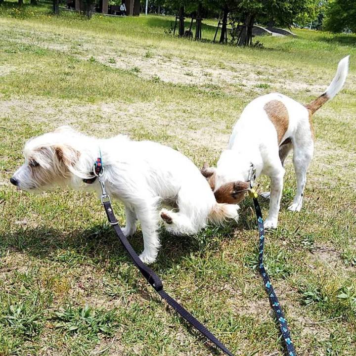 1f11fe17 efd5 4223 9c42 68fc8f5744c4 1684707976742