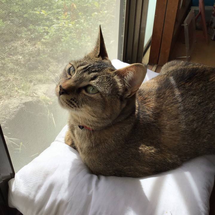 1f123e05 d9a8 46a1 9806 2831d95aea63 1584756081305