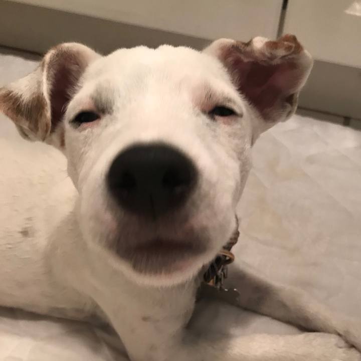 1f124e6f a32c 4556 99ec 92f88b356fce 1537756366793