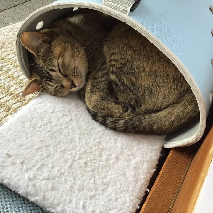 1f1265c1 1dbf 40c1 a675 a215eaf21fec 1586057409356