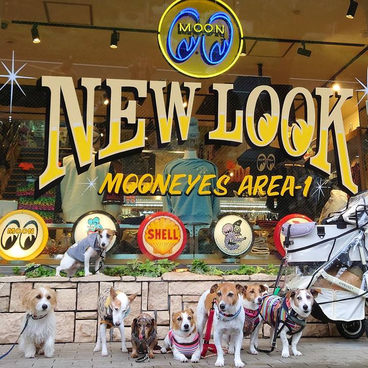 1f127d82 1d43 4fe8 a869 9f90e073ebb3 1761385906438