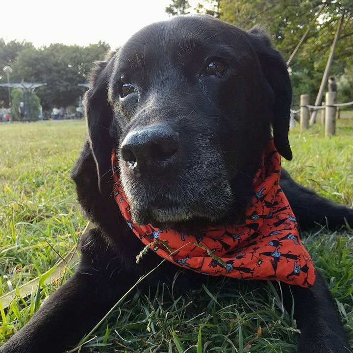 1f12d644 b798 474a 8add 79e3ee86d584 1697443415764