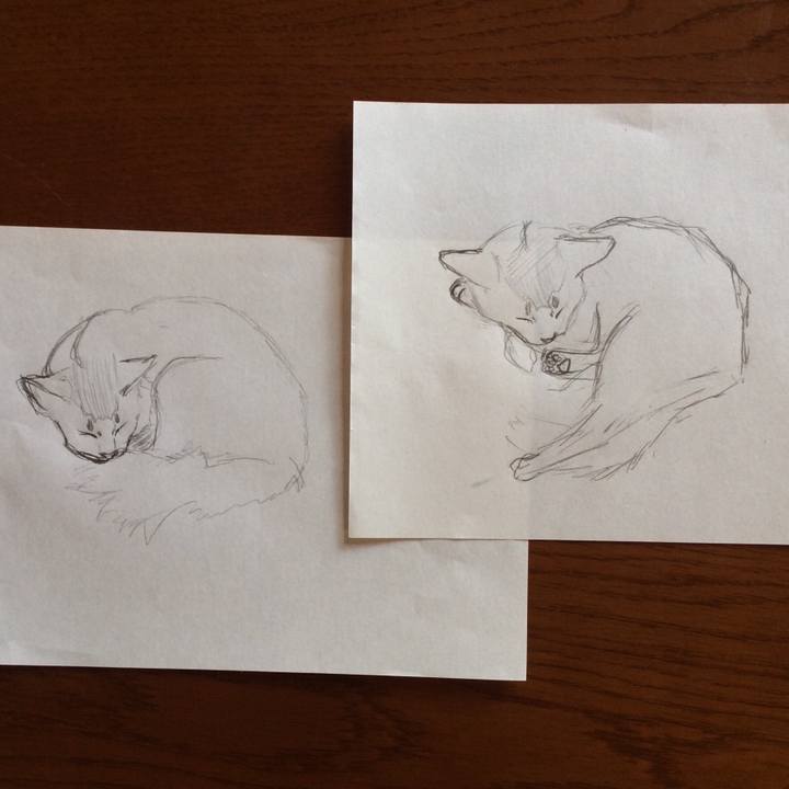 1f13029f fba9 408d b66f 16d87a5105f9 1587515607649