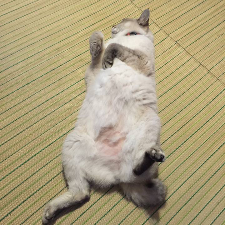 1f134497 75d5 4d9d a049 c9602a5f51b1 1537395953775