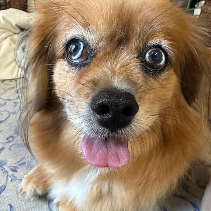 1f135c9d 1578 4a8b a1a4 c724f86bc88e 1755472436282