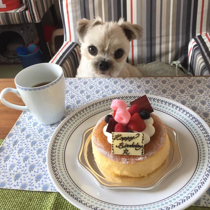 1f141854 cea6 4e9e 9a11 ec34010f3143 1532851923671