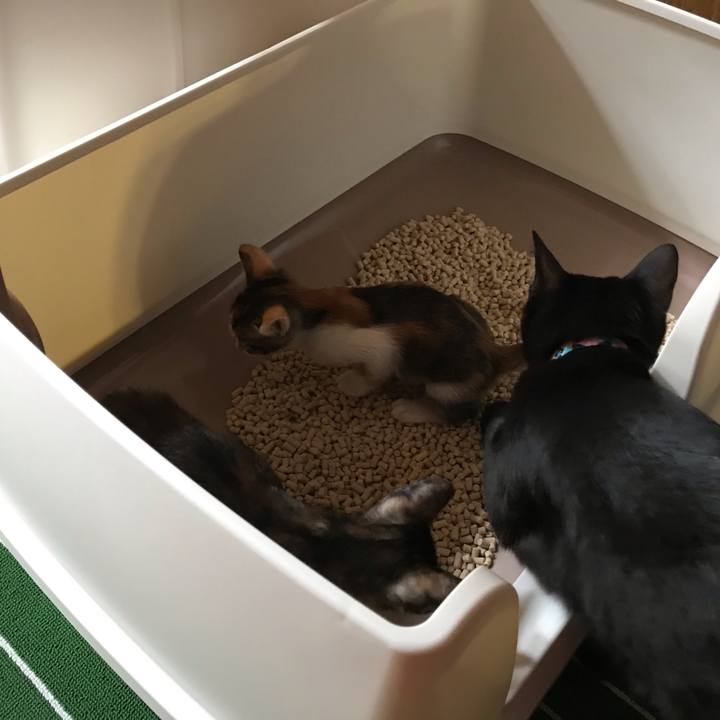 1f1420ff d9c2 40b2 aaa0 663ecaa0fa10 1597738634737