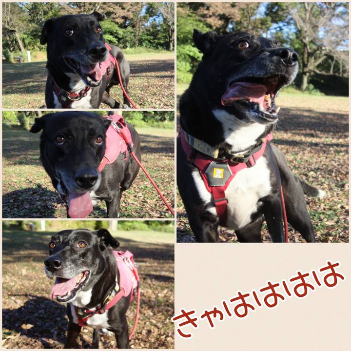 1f147b75 0179 4aff a2be 2ae113030ac7 1699407071056