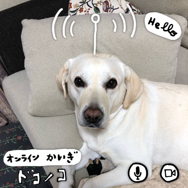 1f14ae92 0bac 4a92 b99f d9b4471451c1 1593297498260