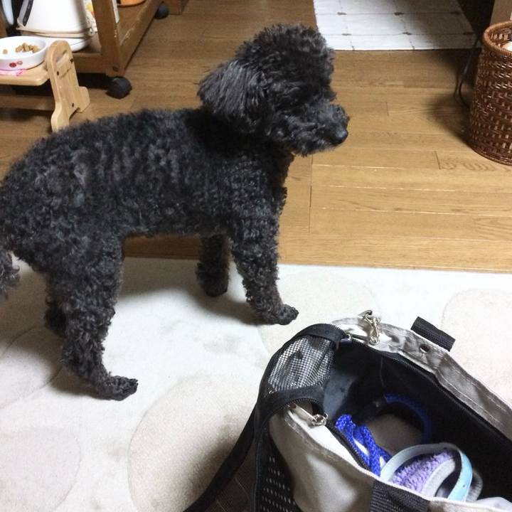 1f14b4ed a497 41b4 8e45 ca1eb156794a 1761612076840