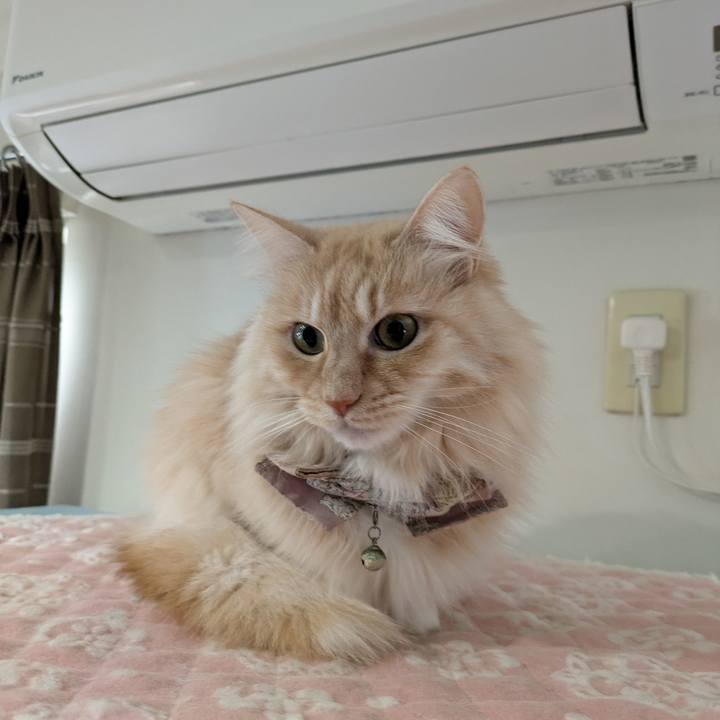 1f14e230 99b0 432a 9327 53175bd66b8b 1738643339752