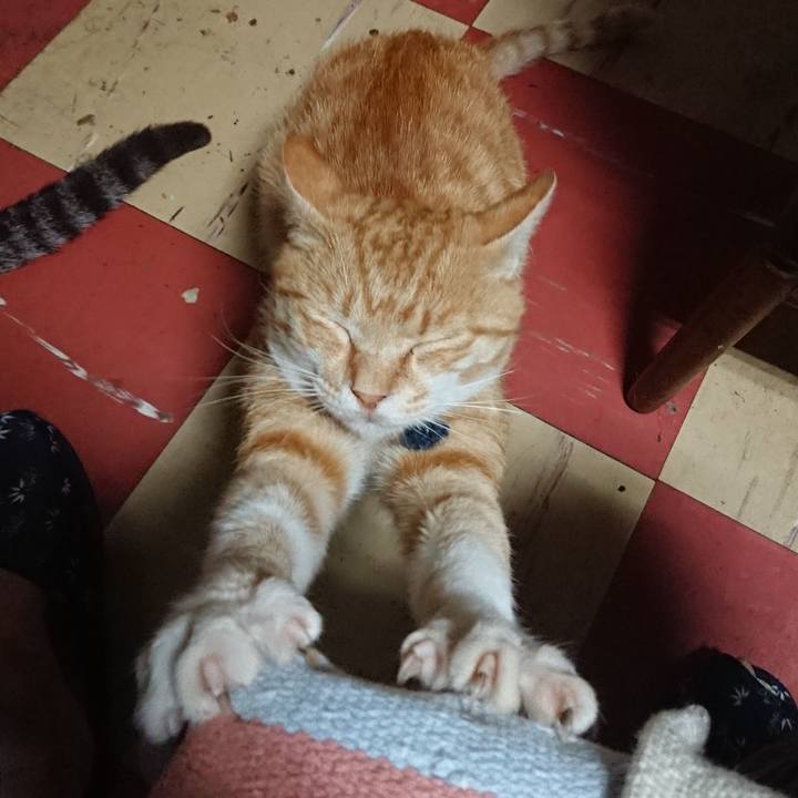 1f14e293 7d76 4e41 96a0 5d11152409e6 1561925118281