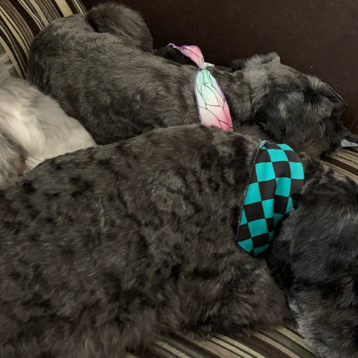 1f1526e1 d250 4c51 80e4 f3613eebe0cc 1623303625953