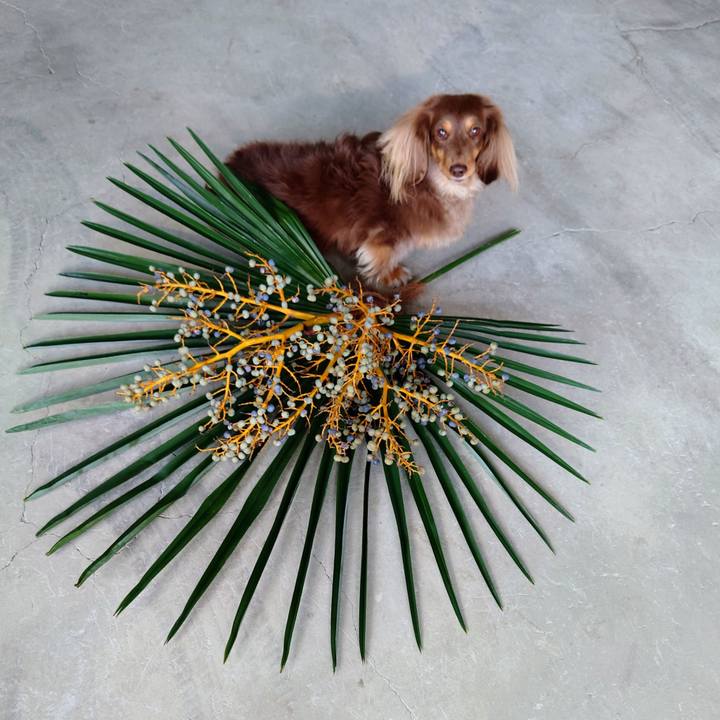 1f156997 1edb 44be 904b 7b1a1bce07aa 1638595530025