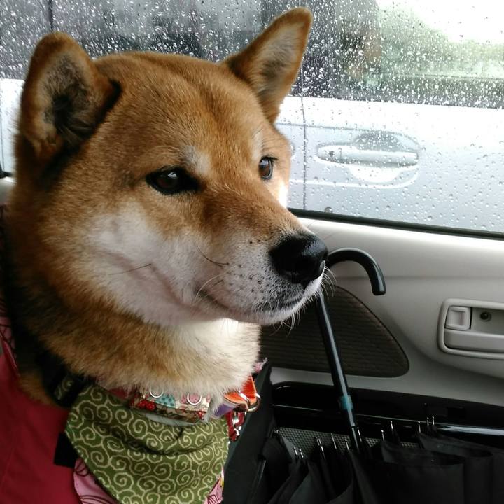 1f15756f 7426 486b a21c acd215160680 1524614224656