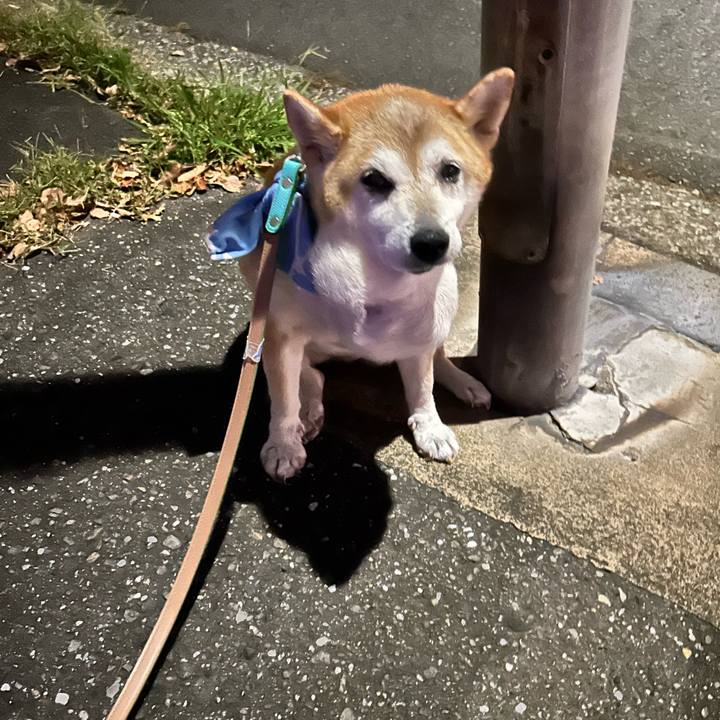 1f157ec5 c641 4888 9d5c b167fccf248a 1758500745936