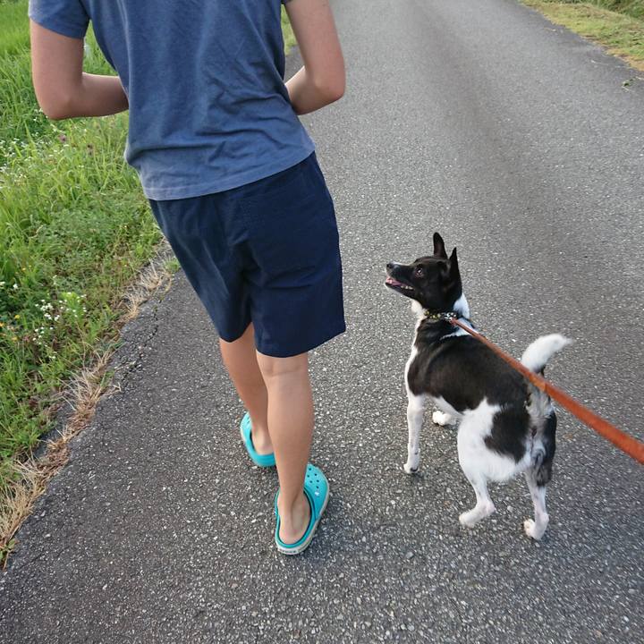 1f15a874 7152 4d84 805a 7efbbd244354 1532906464749