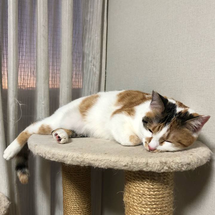 1f15b59e 6f4b 4974 aed0 24b5a53aa583 1577779463093