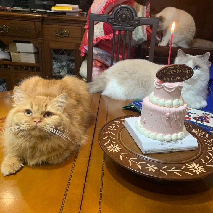 1f15bb95 d3d8 4f62 bc01 0703142de0a9 1743792311699