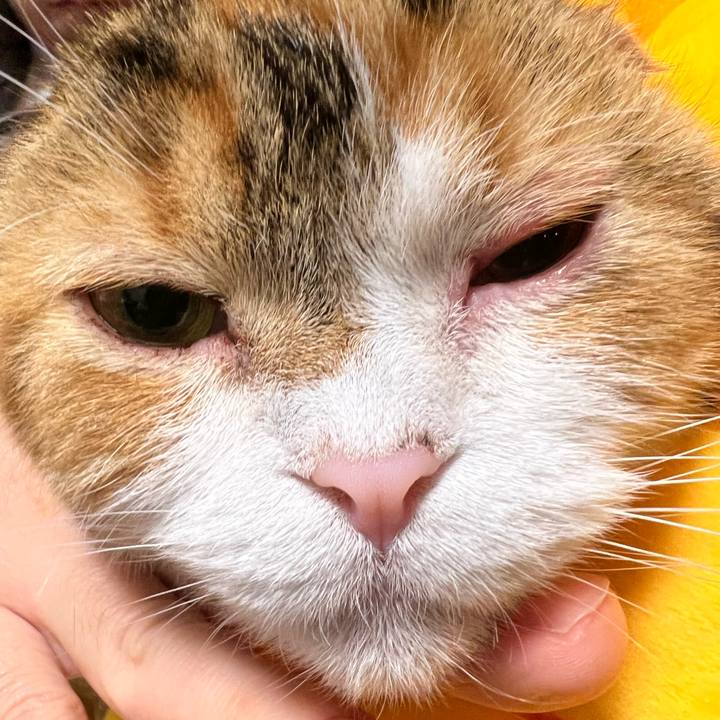 1f16054f 1b51 4d7a b51c 51a958cfd631 1645445892653