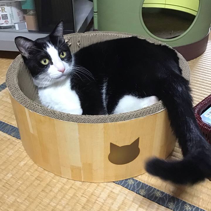 1f162dd4 9ada 4527 b47f b315c908df66 1758438430359