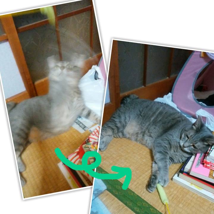 1f163641 2965 4e73 9f03 4f894229964b 1534941432114