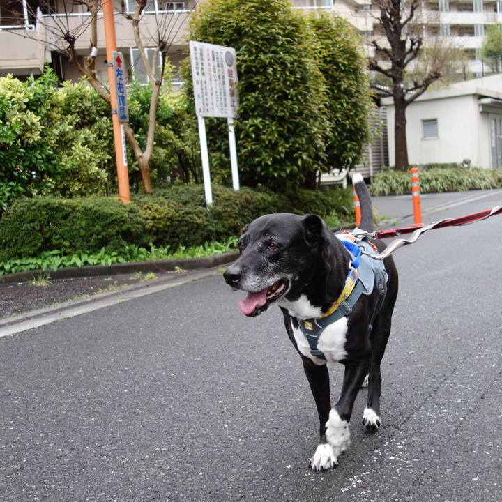 1f163cd1 17f7 44de ada3 d4a71f3abbb2 1744591224947