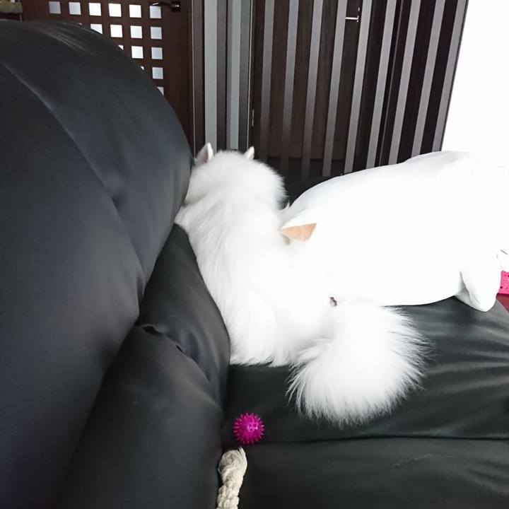 1f16515f f08a 415e a9ee 64ea23f73808 1537771215763