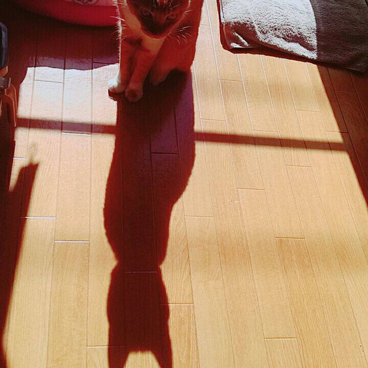 1f169e73 81b2 4c05 bf89 acf79a6bbd79 1575589799707