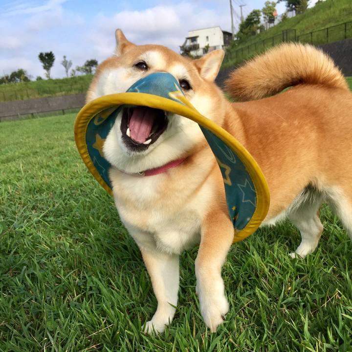 1f16a19a 4394 4f3d 9170 f8b12d6d4665 1567718438033