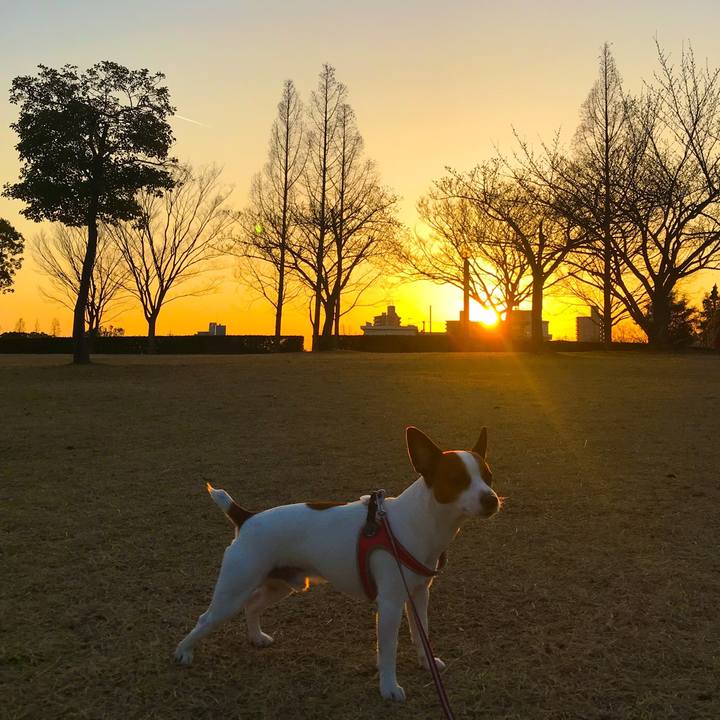 1f16c7d4 34bd 4d11 98d0 80ac35ac6c78 1521278428837