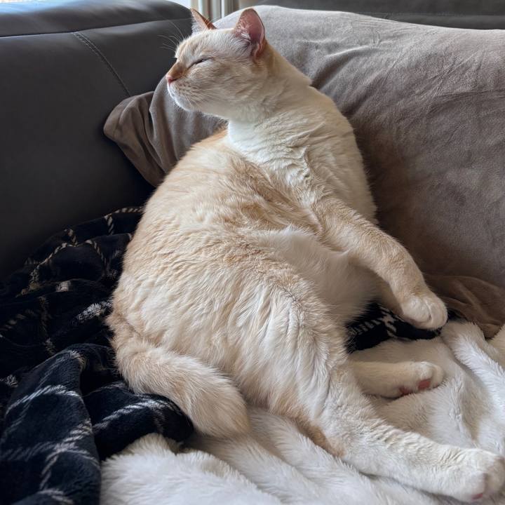 1f16dbaf 4c2f 4aa7 ada0 3d71e0fe45c3 1763350062244