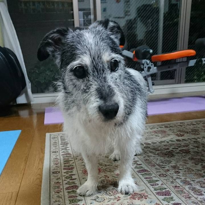 1f1703cb 3652 435a 8cd4 81cbfad75b3b 1507604778255