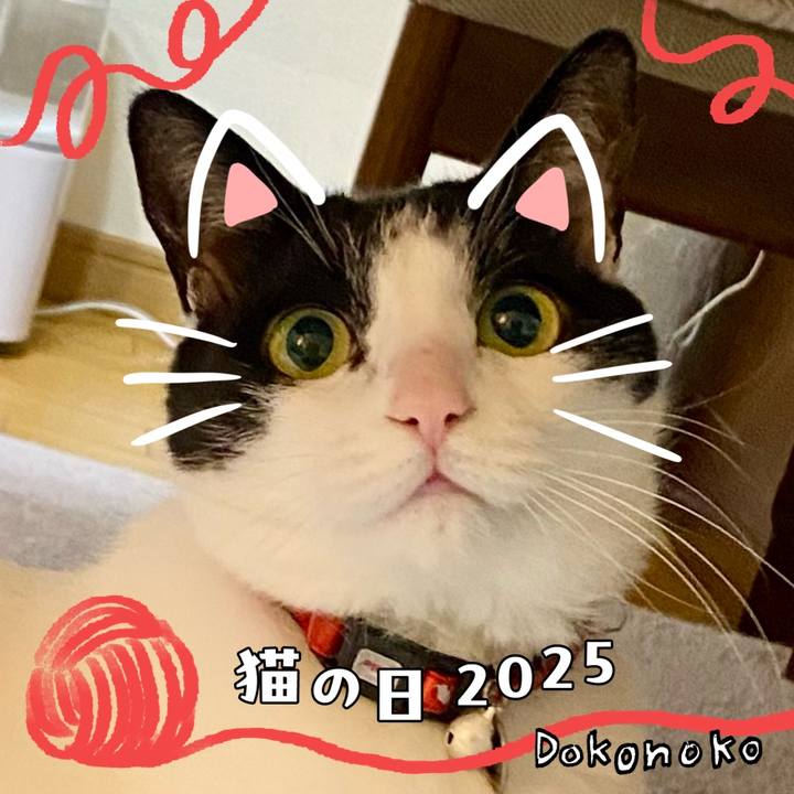 1f17133a 02dd 4d26 810f b6f46441252f 1740181966964