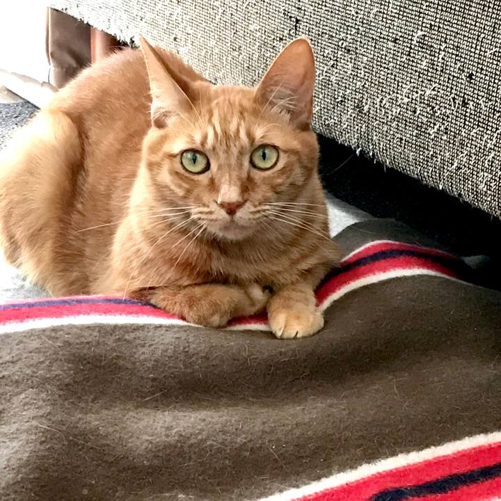 1f173573 3c0e 4c4d 8599 e27520a8e163 1552457758151