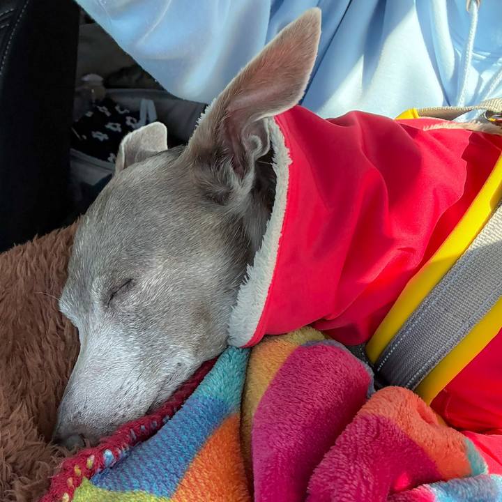 1f173640 f8f9 4baf 91b9 a63ab69b3fbb 1774522605532