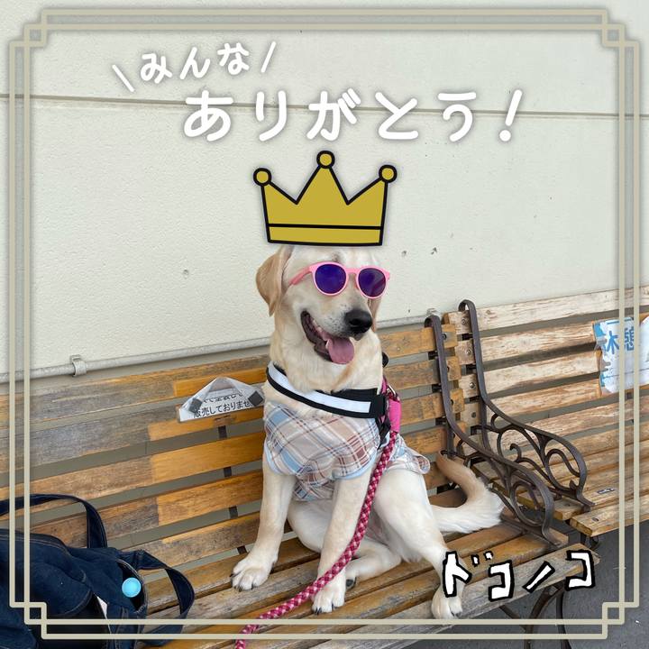 1f176d73 e7c0 47a5 80c9 f11178bfe4ab 1623330243298