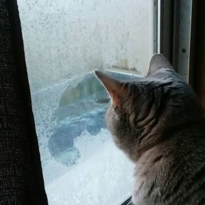 1f177392 af28 436c b1a7 b0642997541c 1543357686933