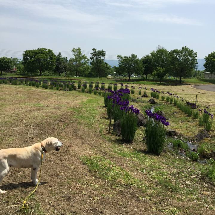 1f1797ec b7d1 44a5 b783 27981b228559 1526353223474