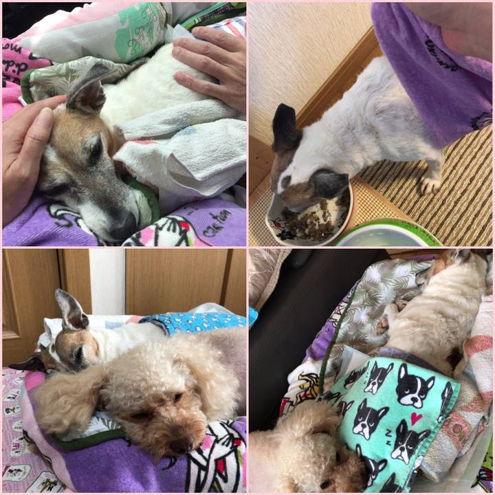 1f17ae92 802a 46b6 8f01 7bda914cabad 1532755293428