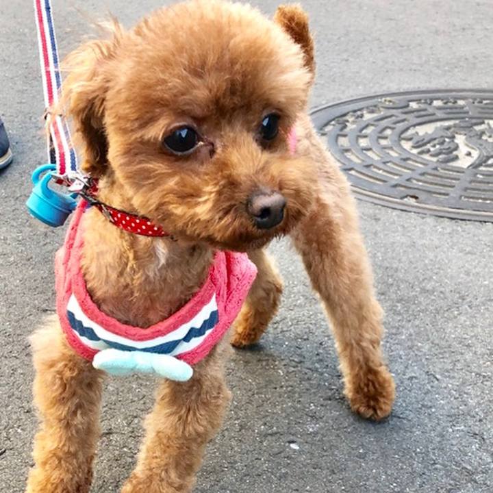 1f17af44 588d 4e21 a96e 817de31753b4 1558305299642