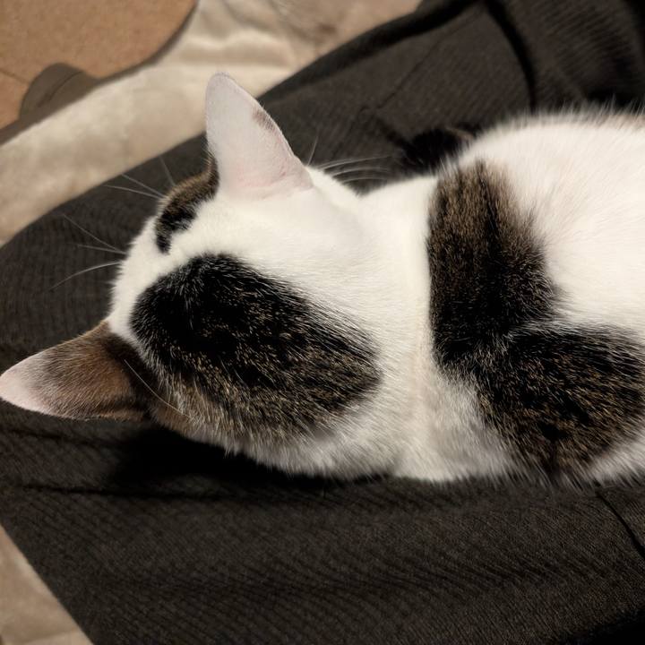 1f17e292 5a8e 4614 bdb1 1dc82db4c7d7 1765132680231