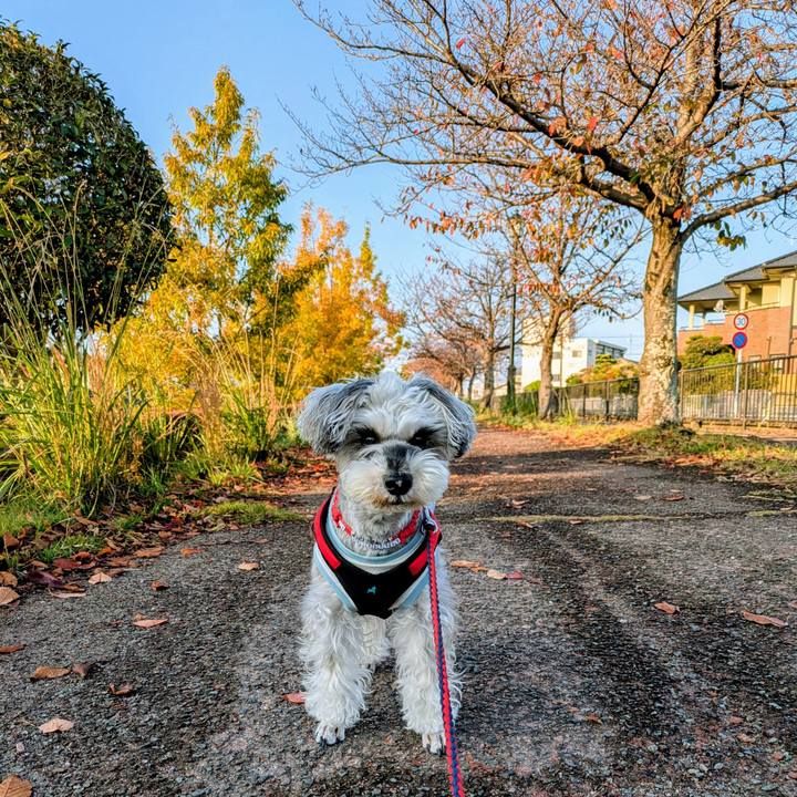 1f17fae9 339c 4bfd 9438 c83486823135 1764112718724