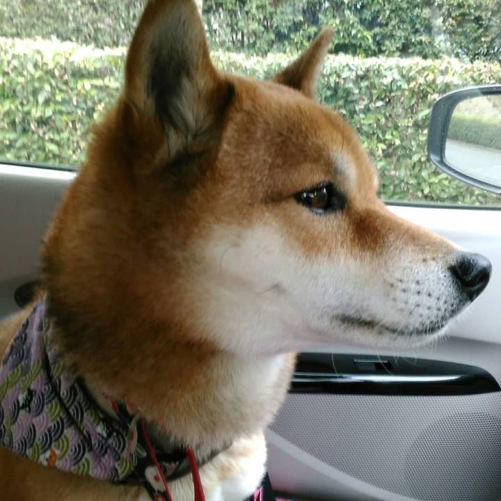 1f184293 eaea 41f4 bb28 2242fae0f0e9 1521354843653