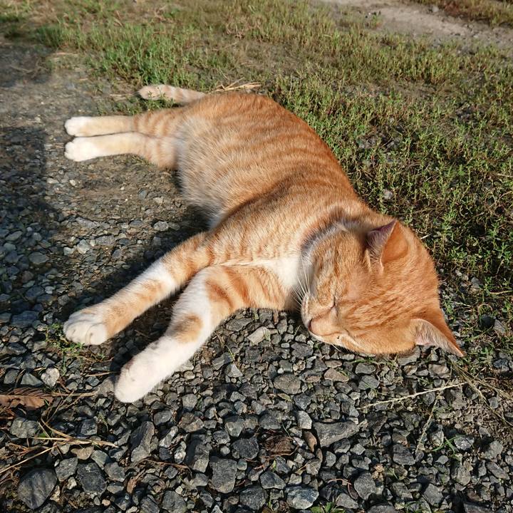 1f18b0b8 6fd1 448c 9ceb 4240ace281d0 1567908111813