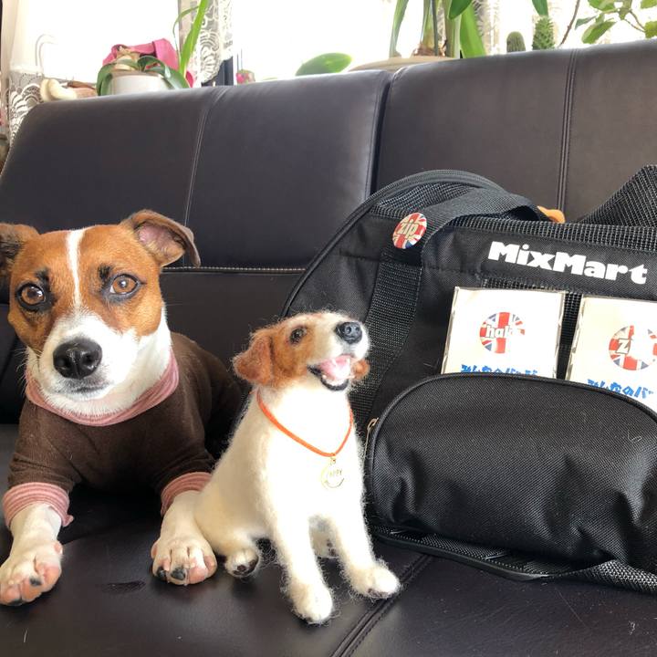 1f18b28d 4145 4493 b6e4 e7319ec83ce5 1573523931148