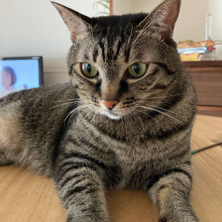 1f18c55a 5723 455b 91f4 85739befc880 1598658997393