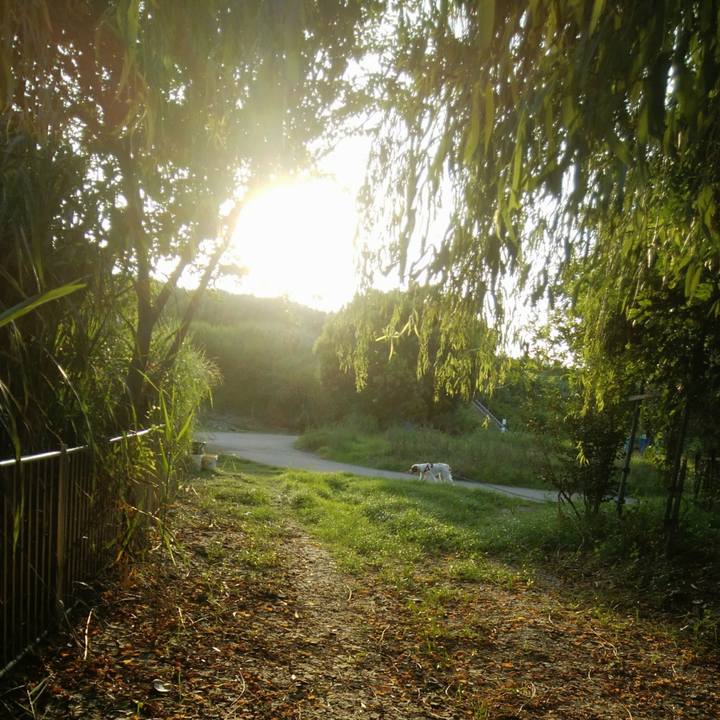 1f18f272 3b8c 400c 9775 d2b2c6e86439 1534764983296