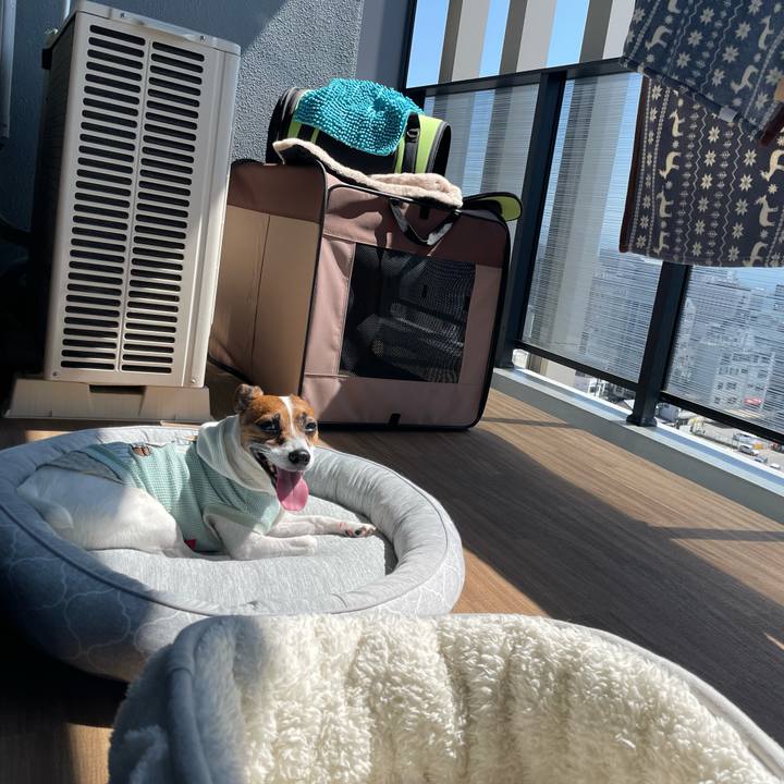 1f193af4 699b 4324 b887 5d64bc9a0005 1716340190477